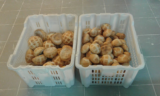 Panificio F.Lli Vincis Pasquale E Giovanni S.N.C.