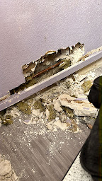 Photo n°39 de Albert Et Fils Alfortville à Alfortville (Vitrier)