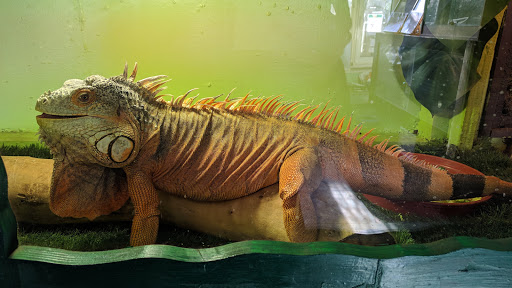 Gentleshaw Wildlife Centre