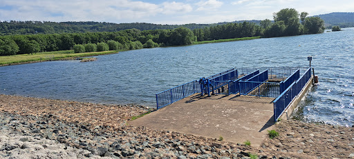 Vogelturm Stausee Kelbra - Visual