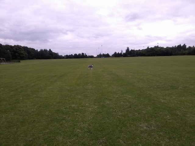 Saughton Skatepark