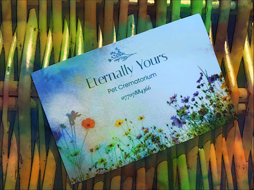 Pet Cremations Doncaster Eternally Yours Pet Crematorium