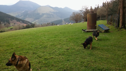 Hotel para perros Residencia Kadagua S.L.