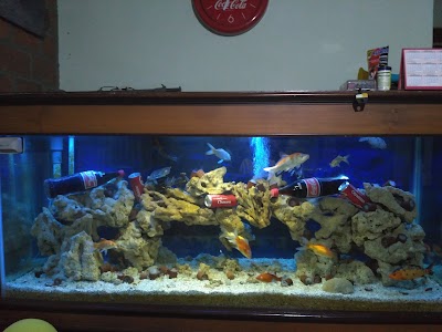 Photos of Kangen Water Ketileng Semarang
