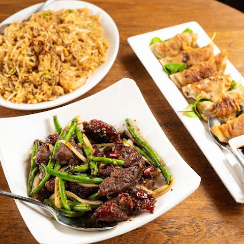 Terracotta Red by null