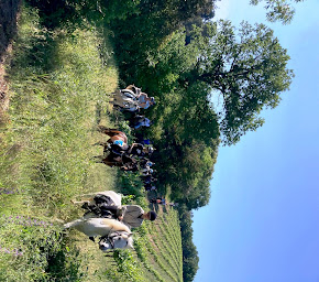 Photo n°7 de Ferme Equestre De Pommayrac à Verzeille (Centre équestre)