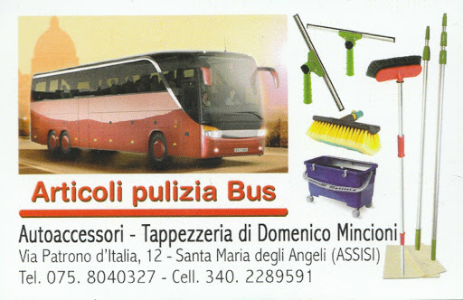 Mincioni Domenico Logo