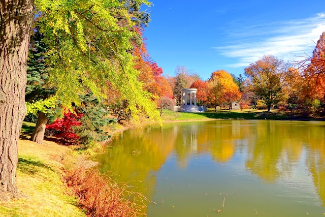 Mount Auburn Cemetery