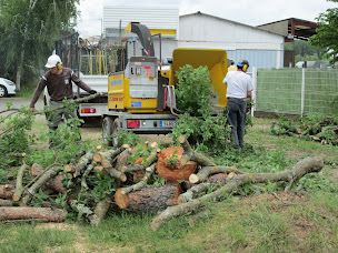 Photo n°3 de Casem Multi Services à Donzenac (Service d'entretien de pelouse)