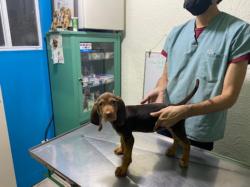 Clínica Veterinaria Mixiuhca