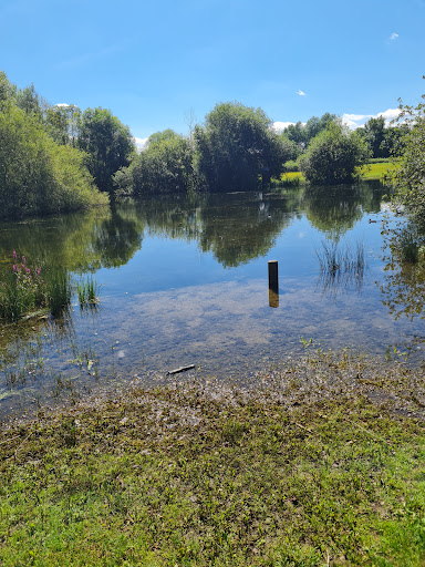 Little Burton Park - Thumbnail