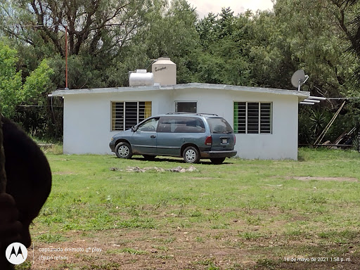 La timbi - Visual