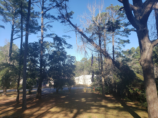 Donatelli Tree Services LLC - Thumbnail