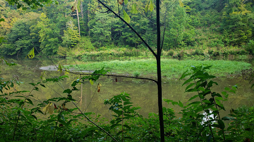 Natural Bridge Trailhead Parking Gallery - United States