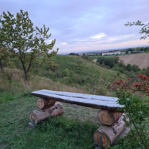 Der sterbende Baum - Thumbnail