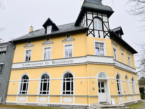 Länderinstitut für Bienenkunde Hohen Neuendorf e. V. - Thumbnail