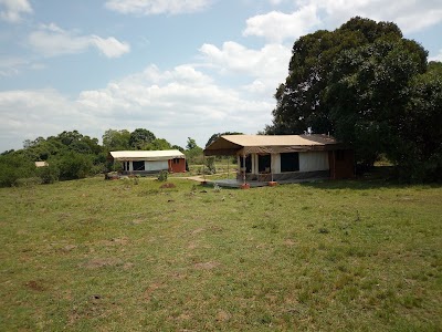 Photos of Mara West Camp