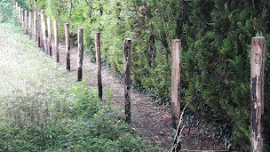 Photo n°9 de SNC PAYSBOIS TP à Charentenay (Magasin de bois de chauffage)