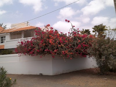 Photos of Villa Botanico