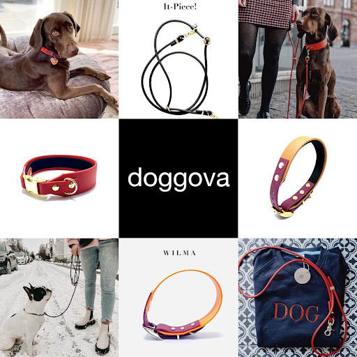 doggova - Visual