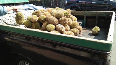 Photos of Durian Ice Shop