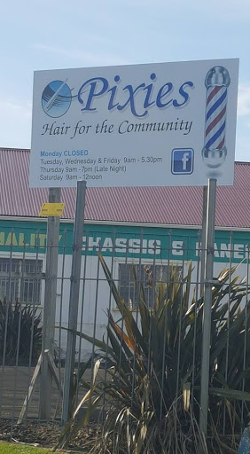 Pixies - Hair For the Community