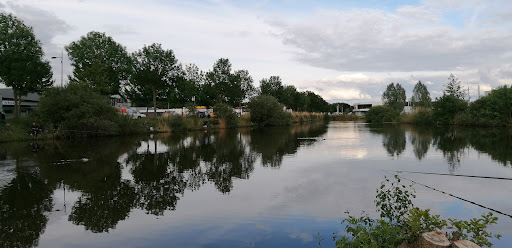 Visvijver Nijverdalseweg