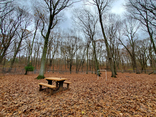 Paw Dog Park