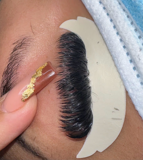 The Lash Obsession Gallery - United States