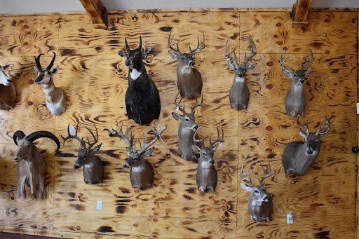 Racks and Tracks Taxidermy - United States