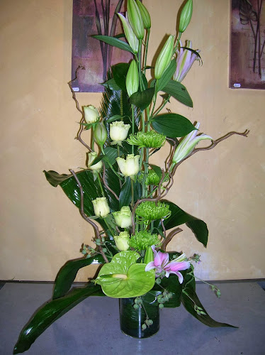 10 Rue Gambetta, 80110 Moreuil