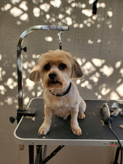 Oodles of Poodles Pet Grooming