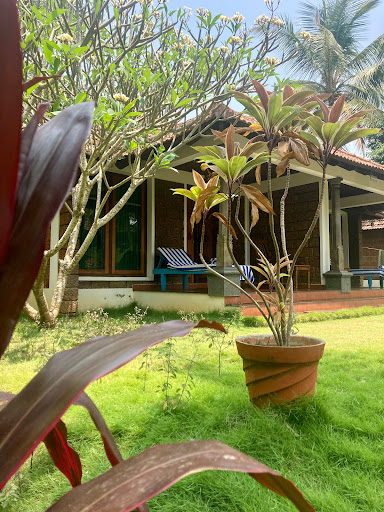 AYUBOA - Ayurveda. Yoga. Reisen, die gut tun. - Thumbnail