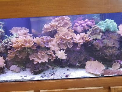 Aquarium Management Systems