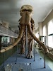 Фотография Ставропольский государственный музей-заповедник им Г. Н. Прозрителева и Г.К.Праве, Александровская площадь, Ставрополь, Россия