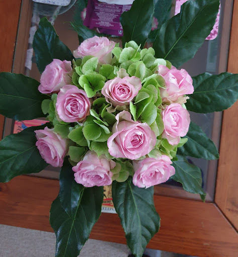 "Klimop" Bloemen en Planten
