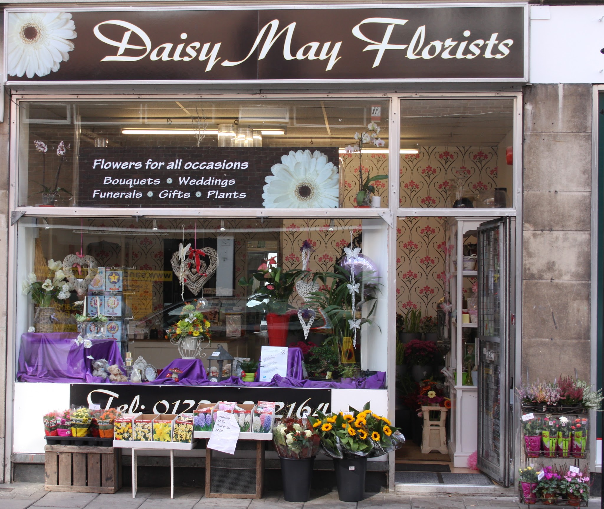 Daisy May Florists - Florists - photo 1