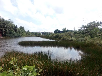 Photos of Perth Paradise
