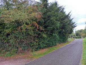 Photo n°16 de AD TERRASSEMENT ET BOIS à Saint-Symphorien-des-Bruyères (Entreprise de terrassement)