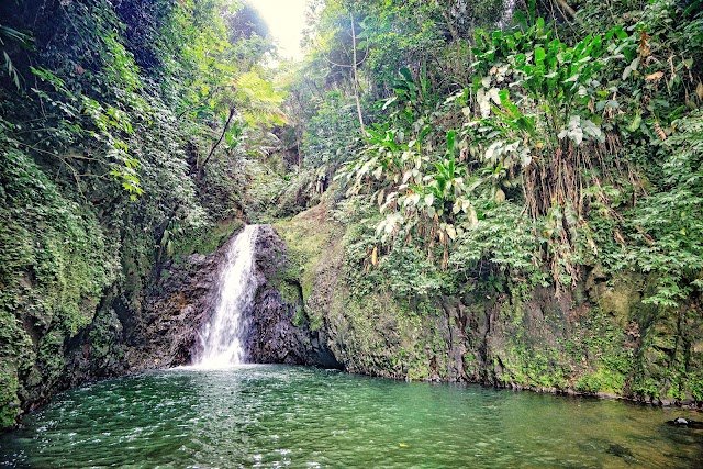 Place around image