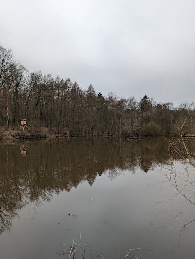 Duinger Wald - Thumbnail