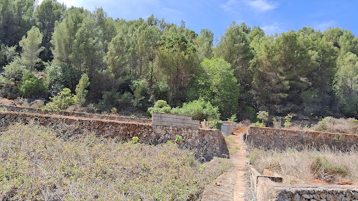 Senda dels Cocons (Villalonga - Forna) - Thumbnail