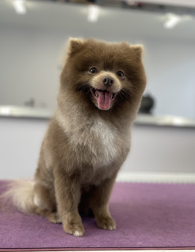Barkingdales Pet Spa - Thumbnail