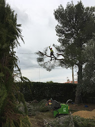 Photo n°10 de Danielou Elagage à Vence (Paysagiste)