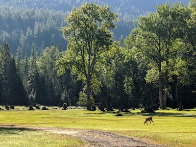 Kaniksu National Forest