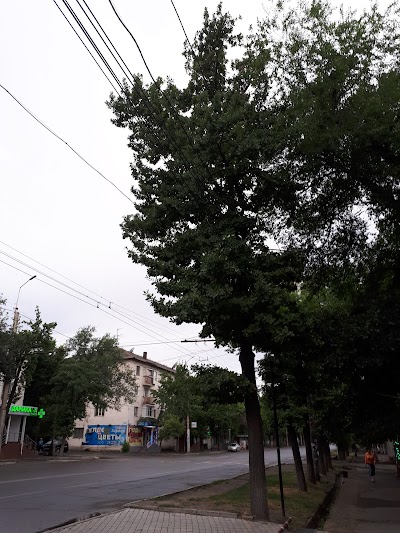 Photos of Politekh