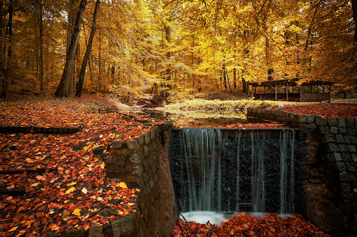 Cöthener Park - Visual