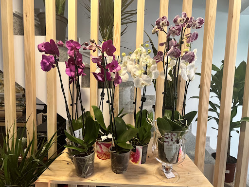 Atelier Floral Azucena - Thumbnail