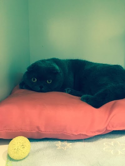 Photos of Pet Station Kennels & Cattery
