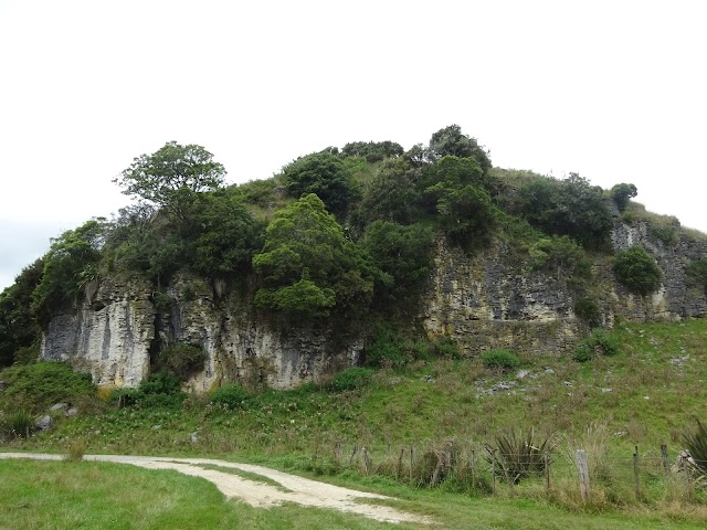 Waitomo Glowworm Caves